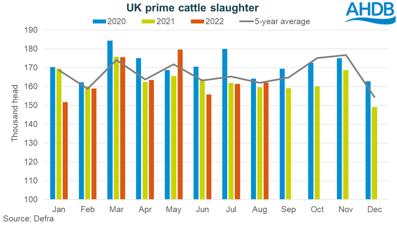 Graph showing monthly UK prime cattle slaughter to Aug-22